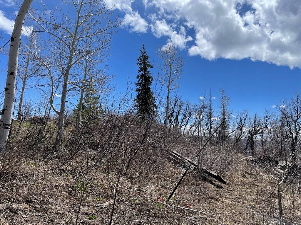 Clark, CO 80428,57925 Jupiter PL