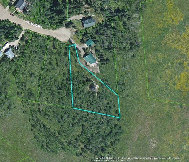 Clark, CO 80428,57925 Jupiter PL