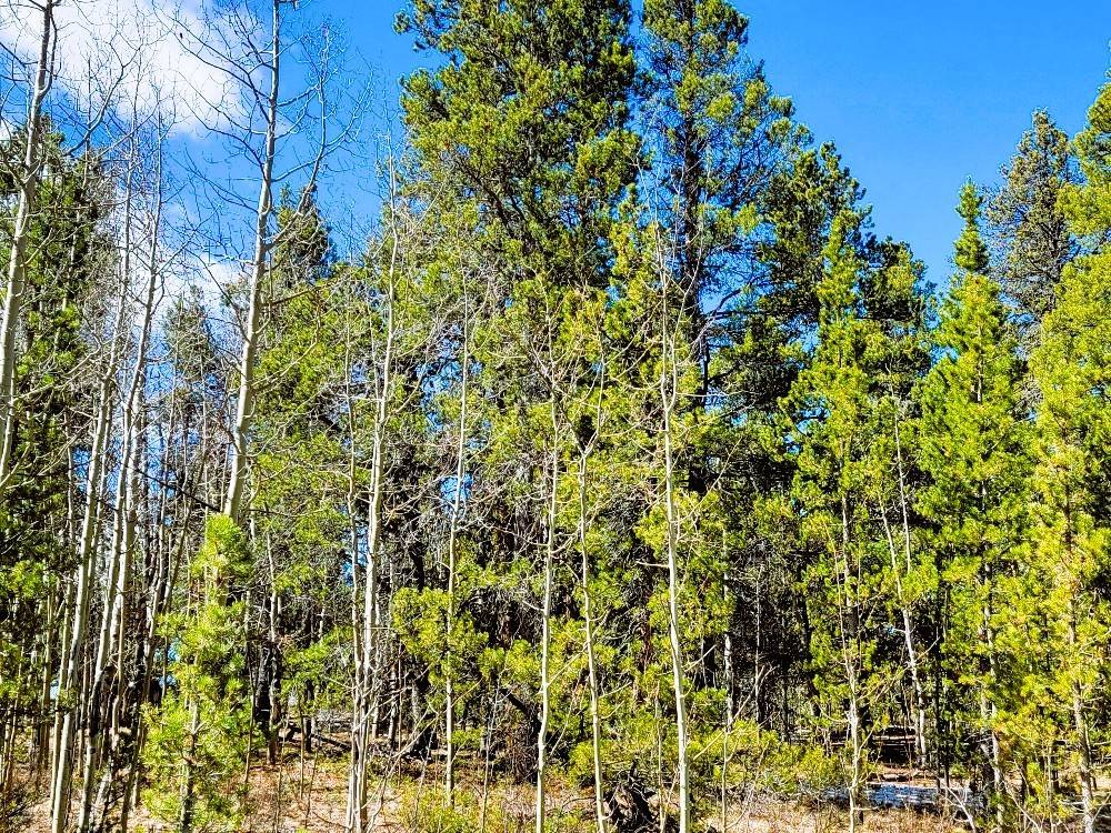 Fairplay, CO 80440,162 Thickspike RD