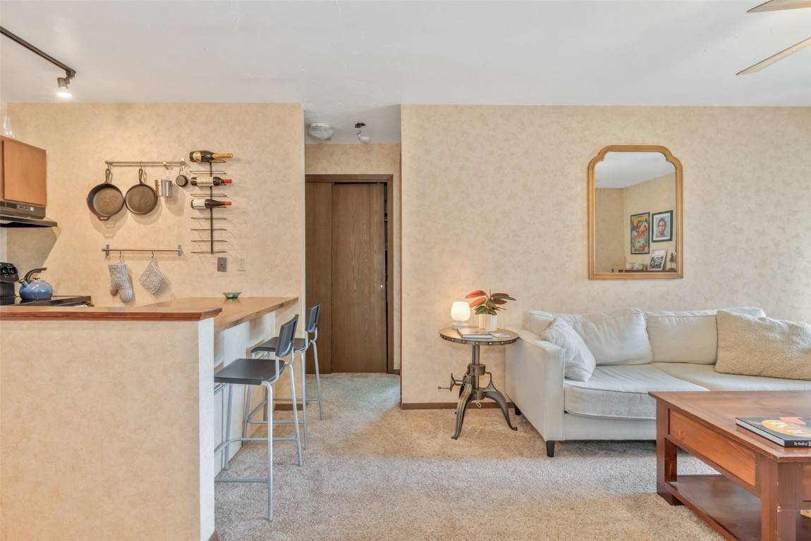 Steamboat  Springs, CO 80487,1395 Sparta PLZ #16