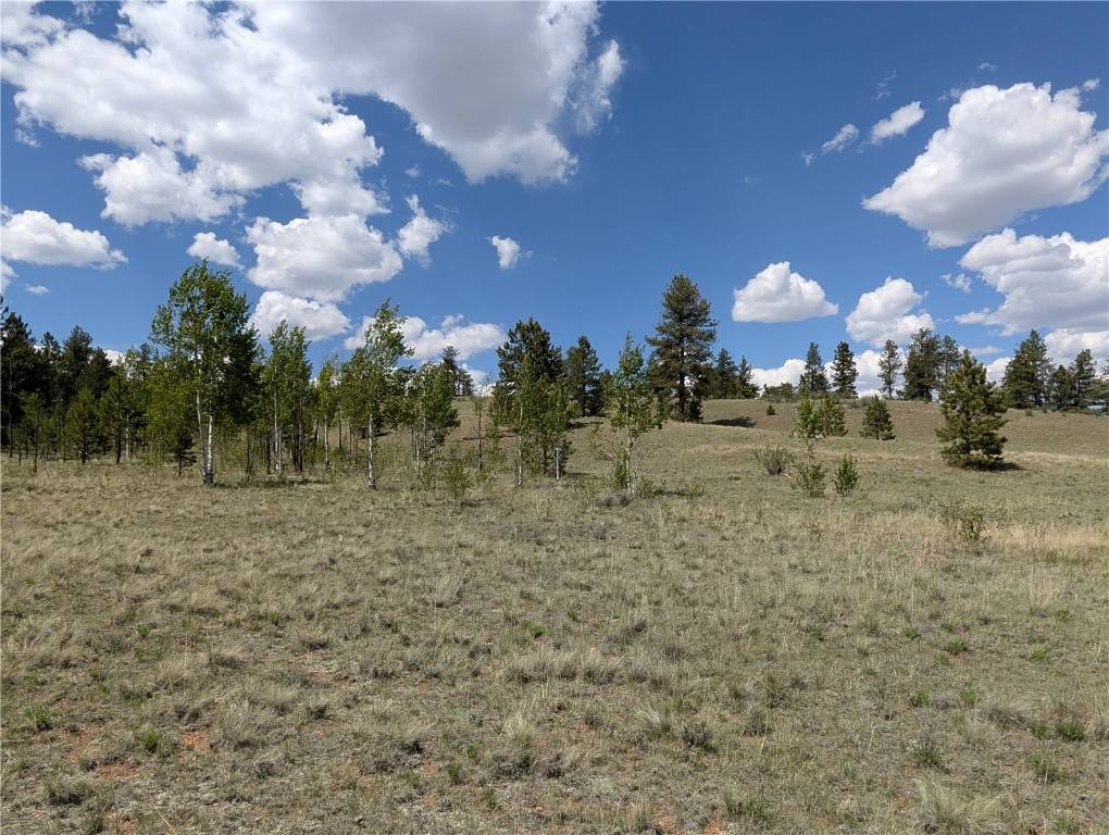 Hartsel, CO 80449,2053 Badger Creek RD
