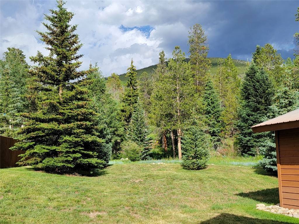 Dillon, CO 80435,226 Cottonwood DR