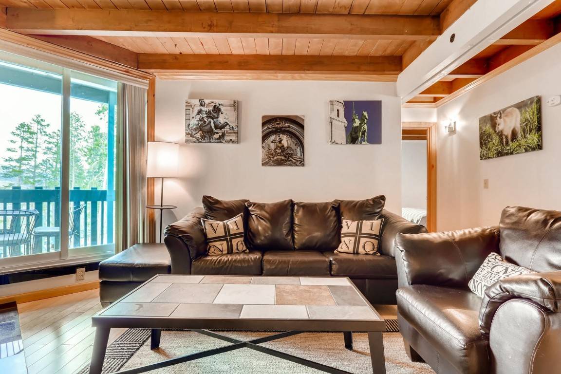 Silverthorne, CO 80498,2300 Lodge Pole CIR #103