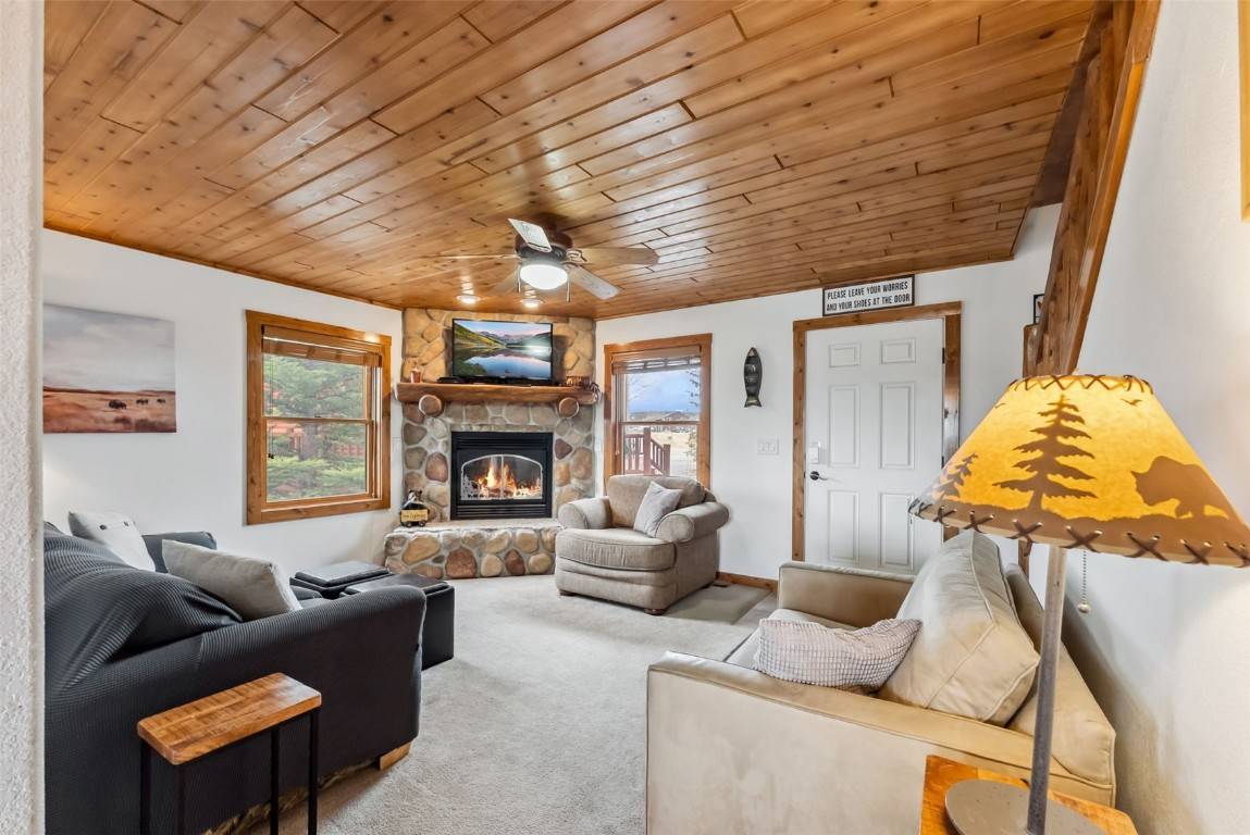 Fairplay, CO 80440,268 B Fuller DR