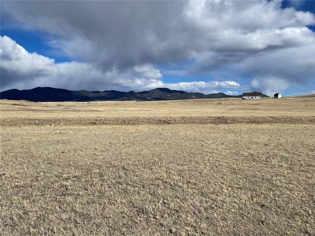 Hartsel, CO 80449,305 Badger LN