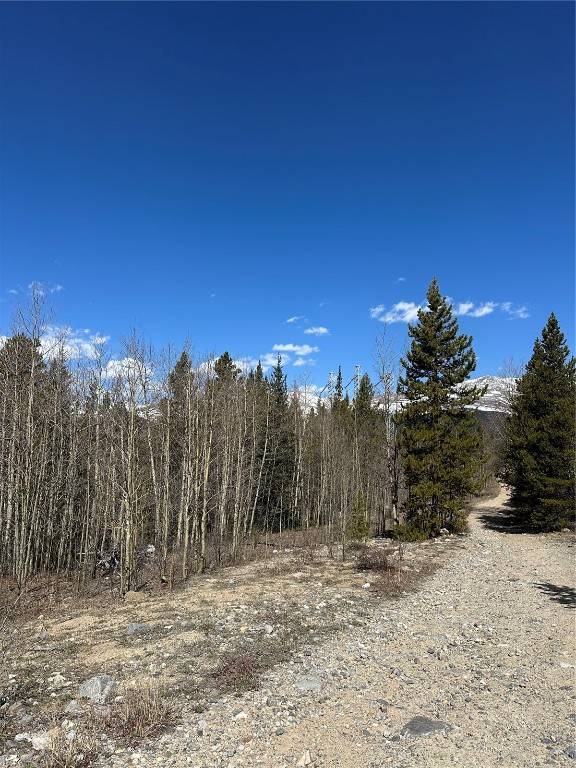 Alma, CO 80420,665 County Road 665
