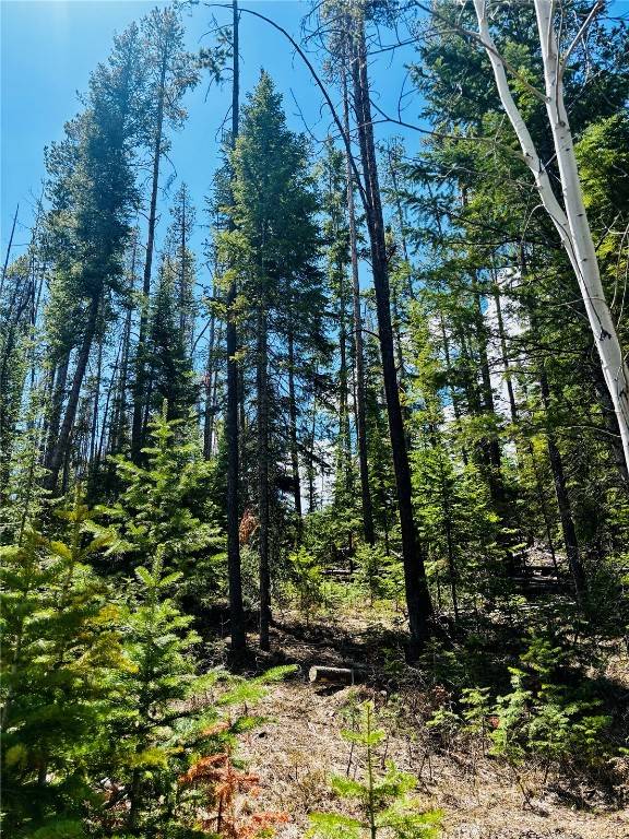 Oak  Creek, CO 80467,50 Springboard TRL