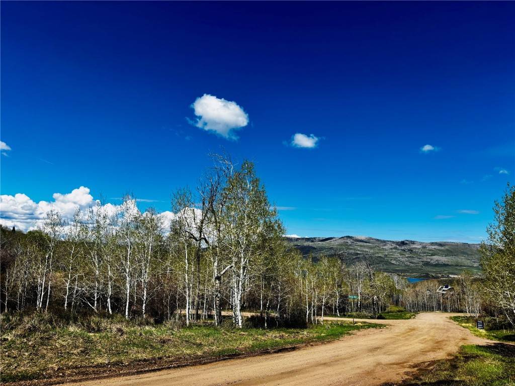 Oak  Creek, CO 80467,24090 Arapahoe RD