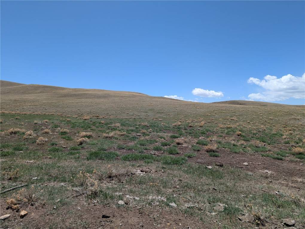 Hartsel, CO 80449,00 Coweta TRL