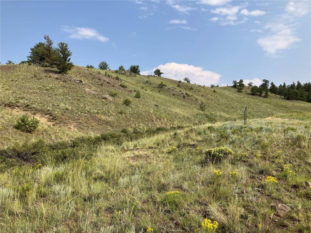 Hartsel, CO 80449,154 Milner RD