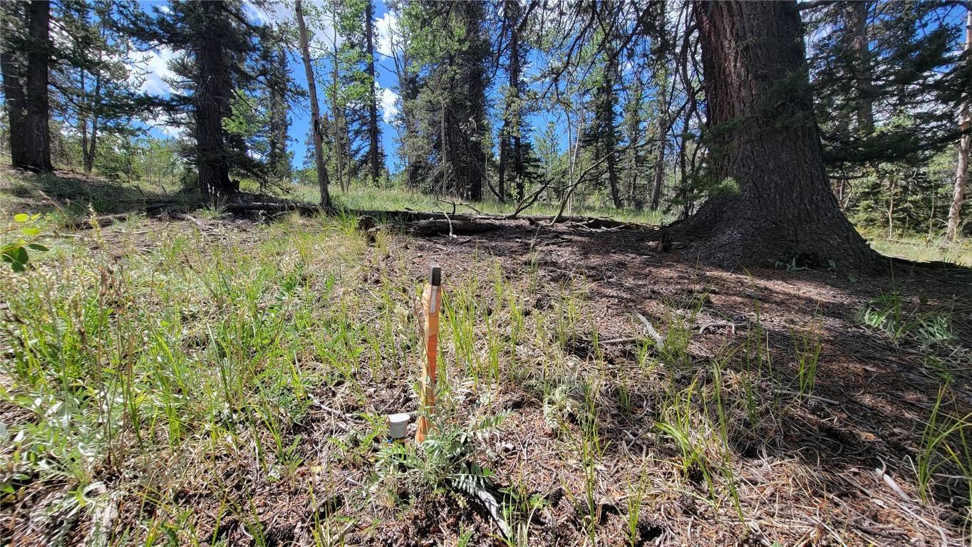Como, CO 80432,943 Bear LN