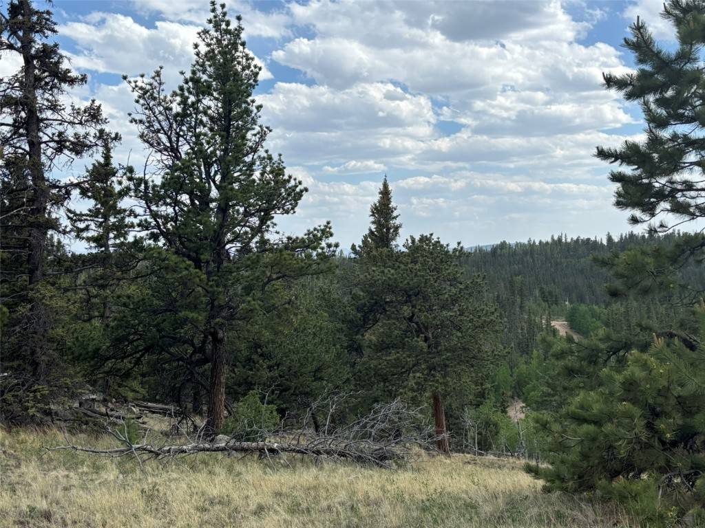 Como, CO 80432,287 & 234 Warclub CT