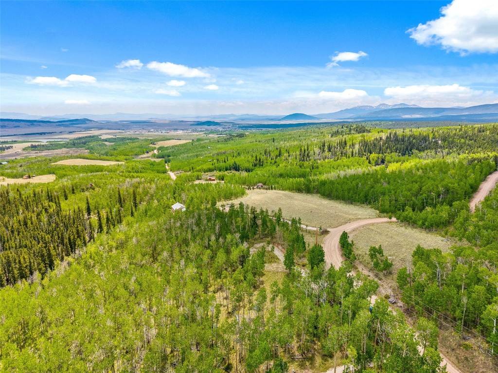 Fairplay, CO 80440,816 Little Baldy CIR