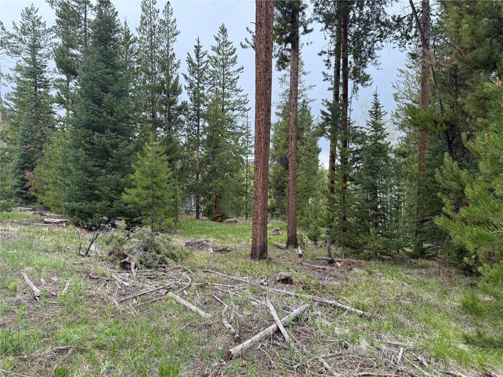Oak  Creek, CO 80467,33435 Filly TRL