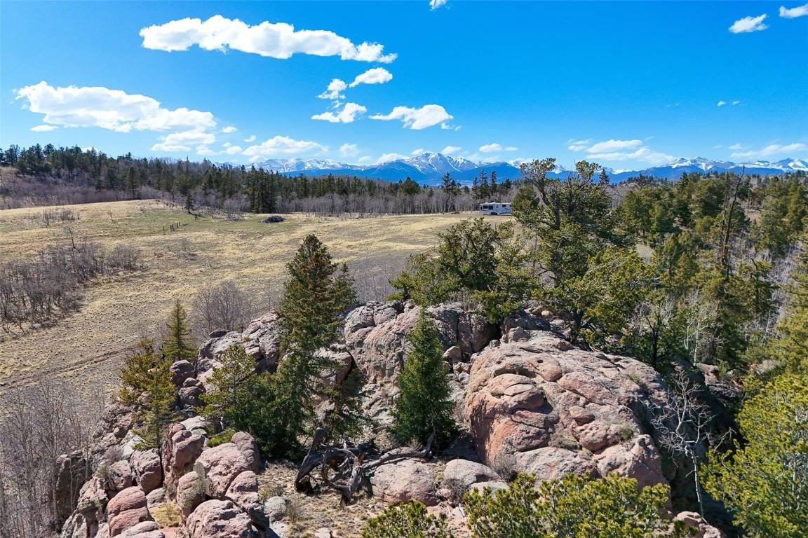 Como, CO 80456,4019 Buffalo Ridge RD