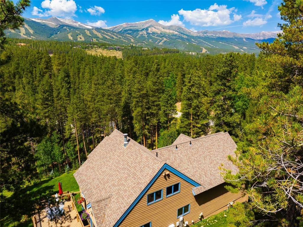 Breckenridge, CO 80424,463 Blue Flag CIR