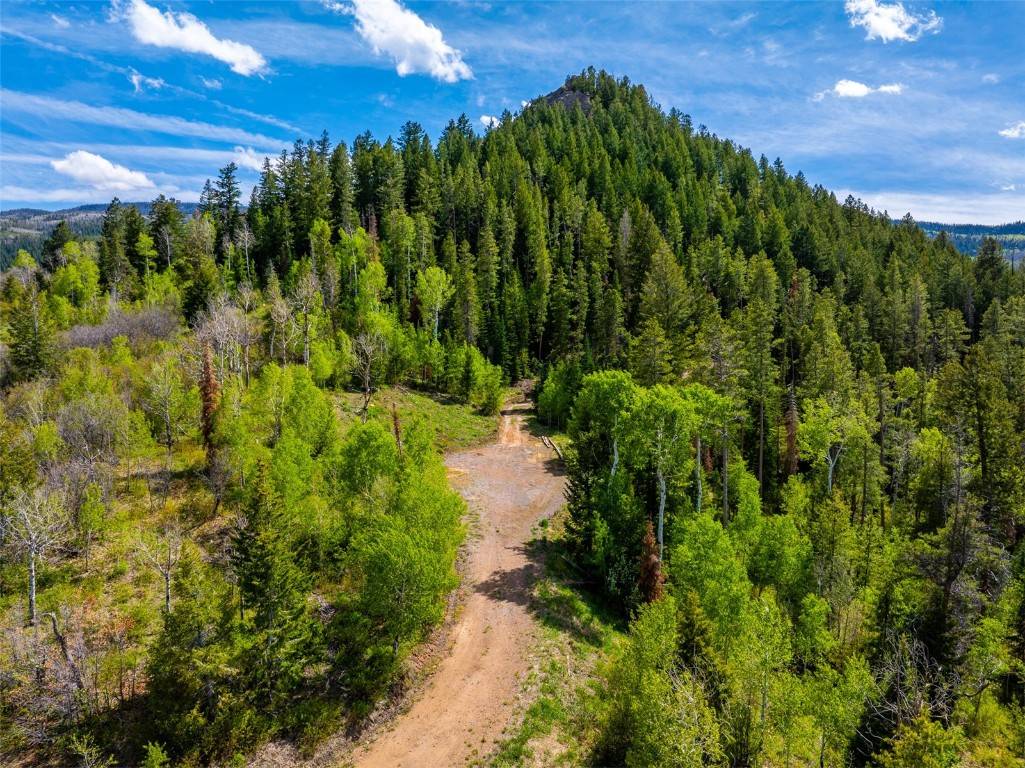 Oak  Creek, CO 80467,TBD Youngs Creek WAY