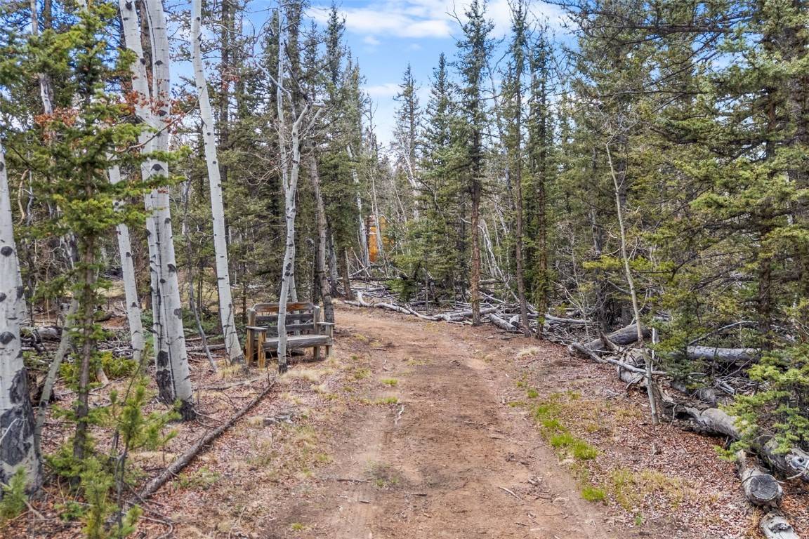 Como, CO 80432,743 Pronghorn DR