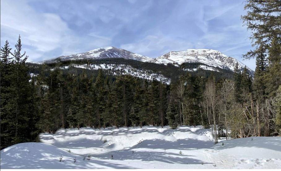 Alma, CO 80440,553 Nuthatch DR