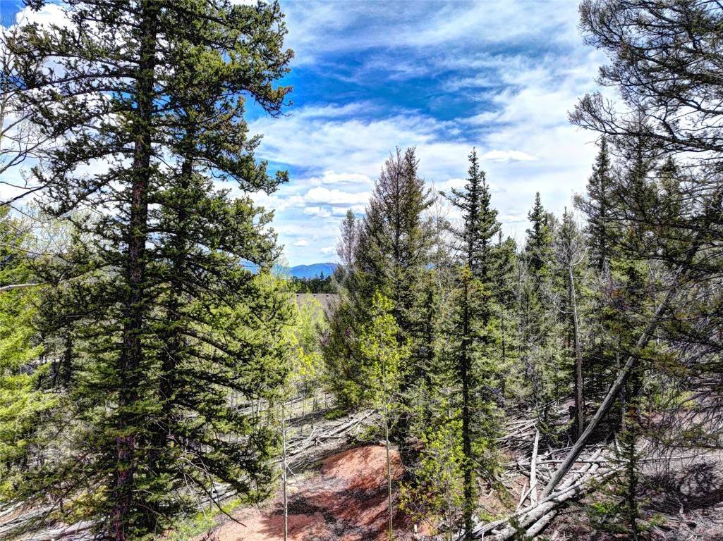 Como, CO 80432,258 Old Squaw RD
