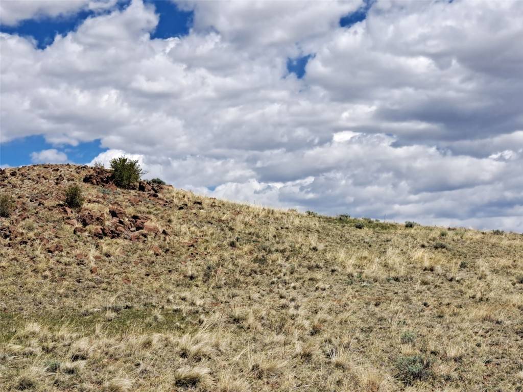 Hartsel, CO 80449,000 Caddo RD