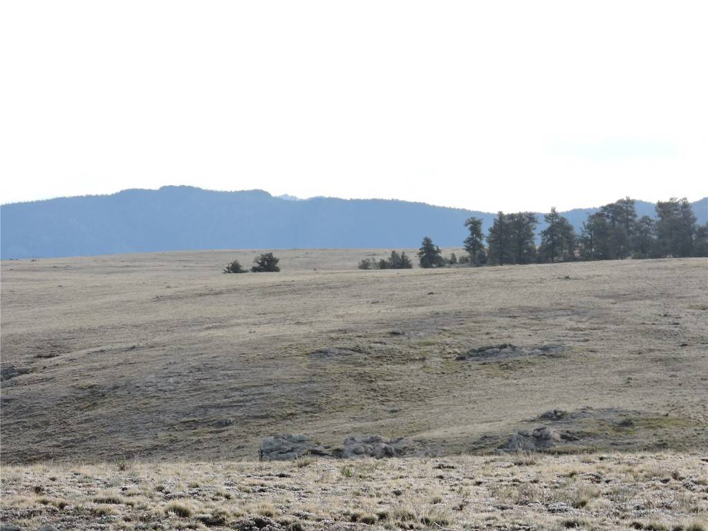 Hartsel, CO 80449,122 Bandelier CT