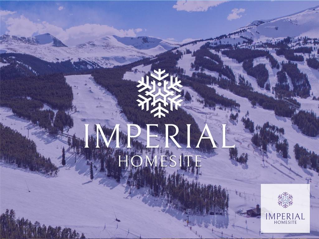 Breckenridge, CO 80424,2 4 O'Clock Run RD