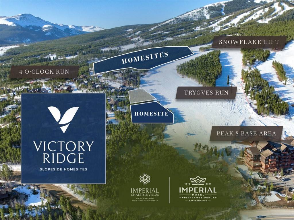 Breckenridge, CO 80424,2 4 O'Clock Run RD