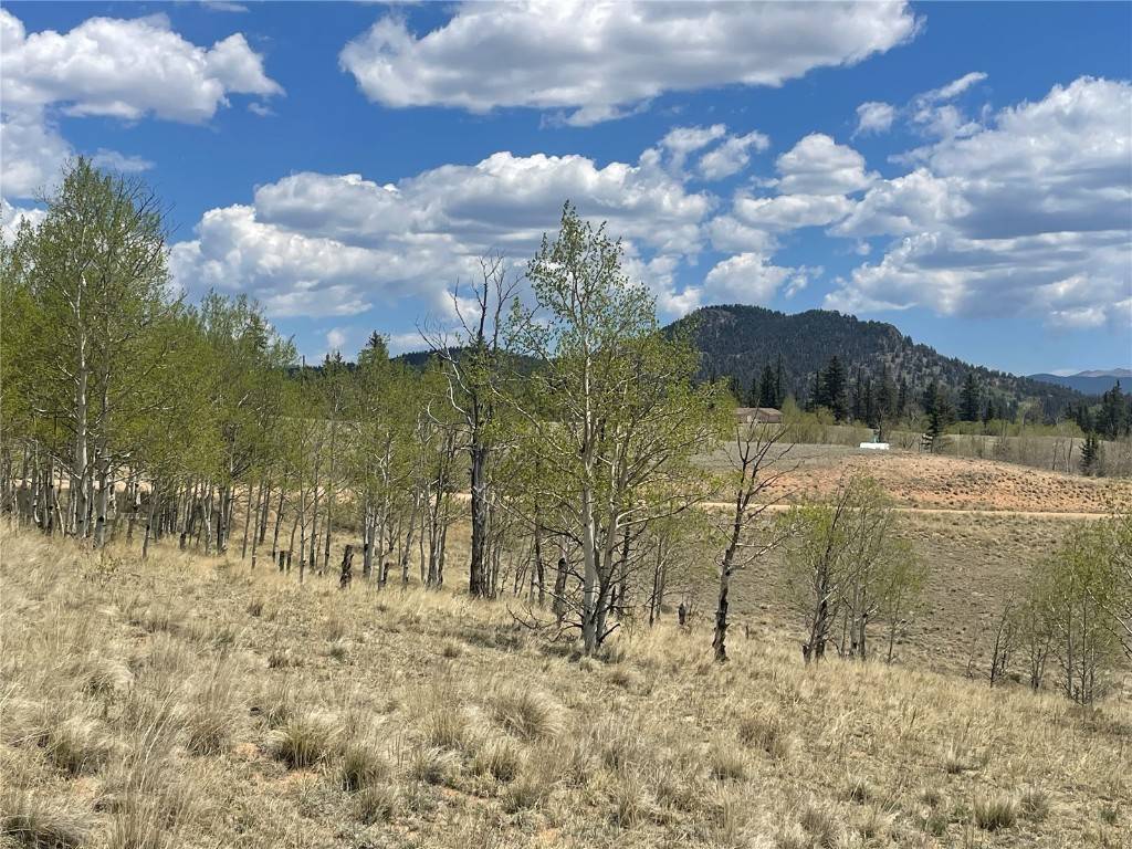Como, CO 80432,636 Sharps WAY