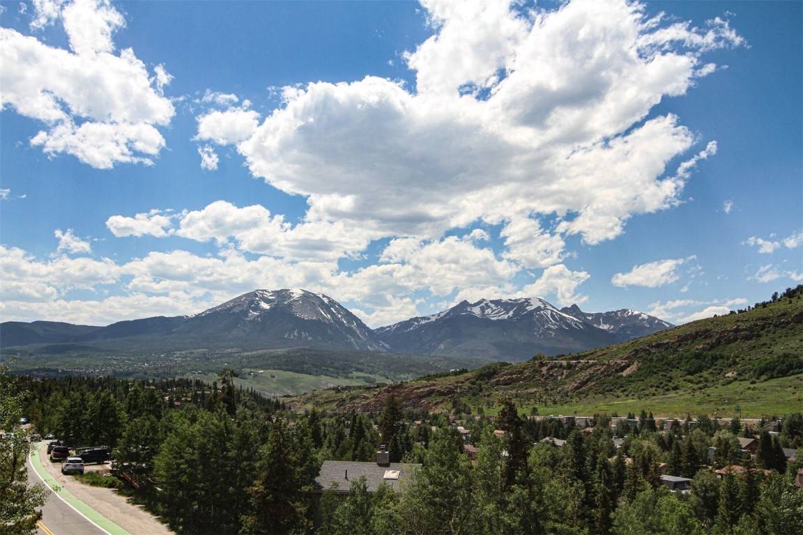 Dillon, CO 80435,338 Deer Path RD