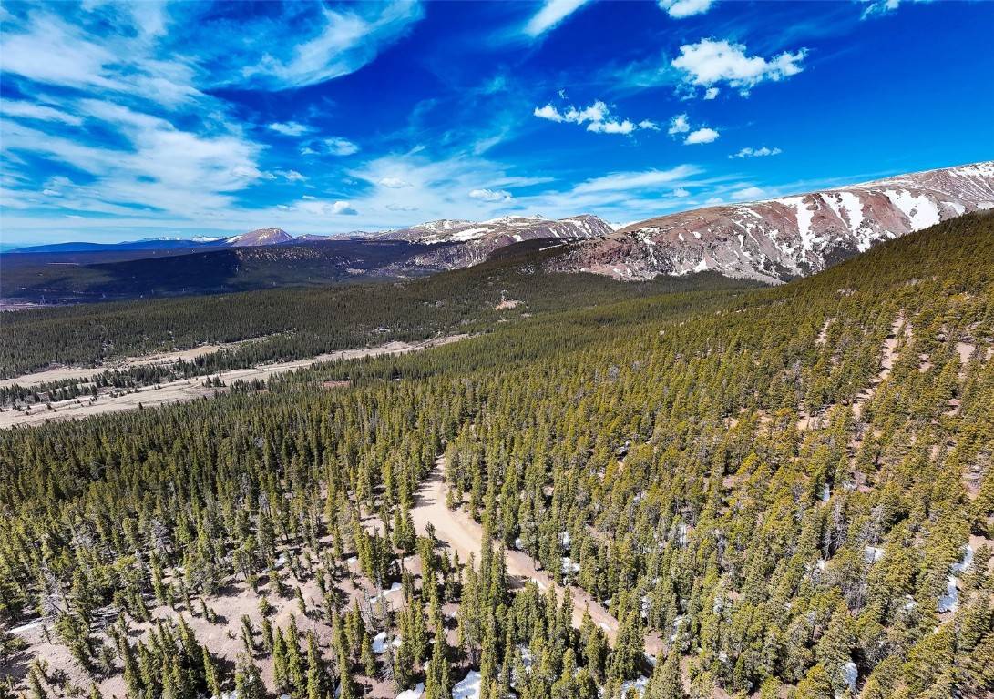 Alma, CO 80420,1171 CO RD 787