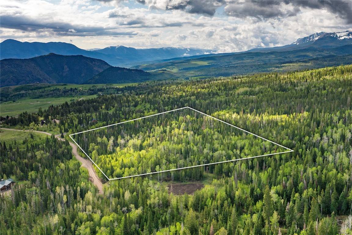 Silverthorne, CO 80498,336 Blue Spruce RD