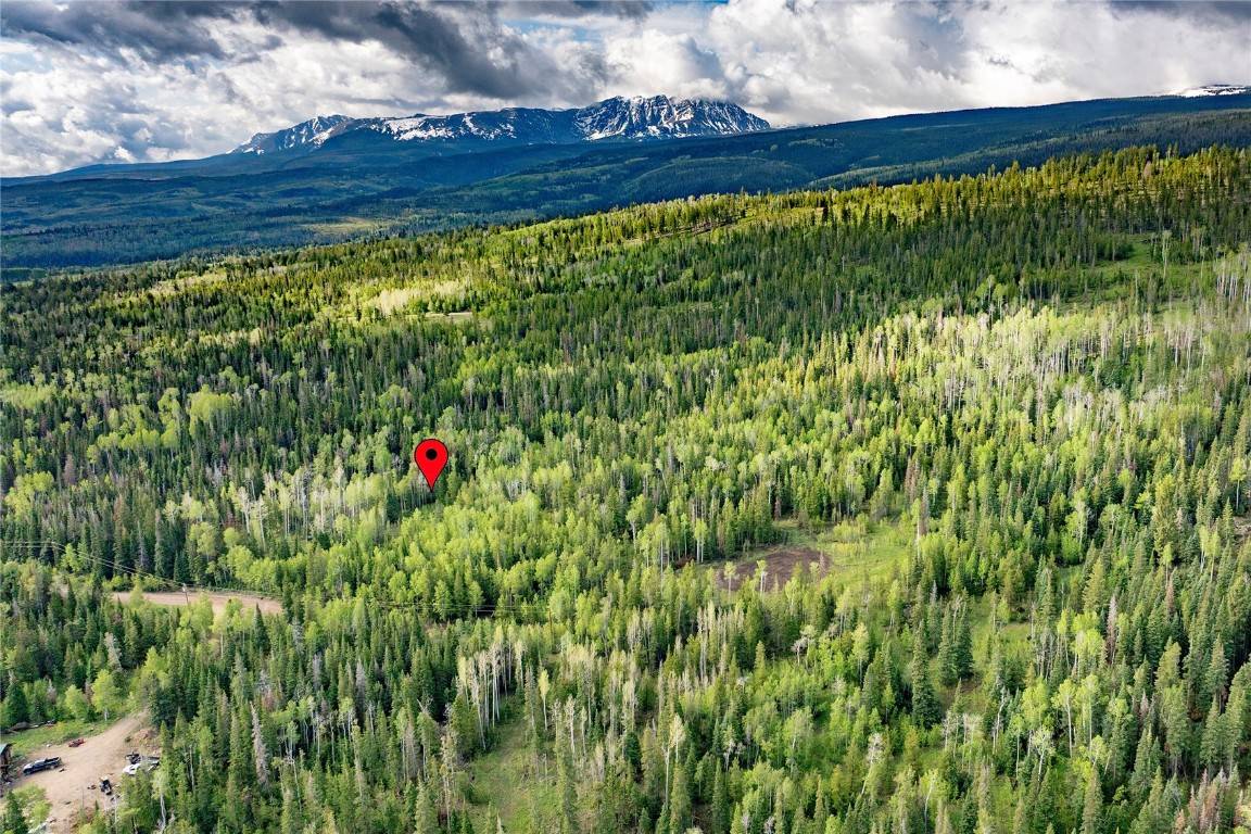 Silverthorne, CO 80498,336 Blue Spruce RD