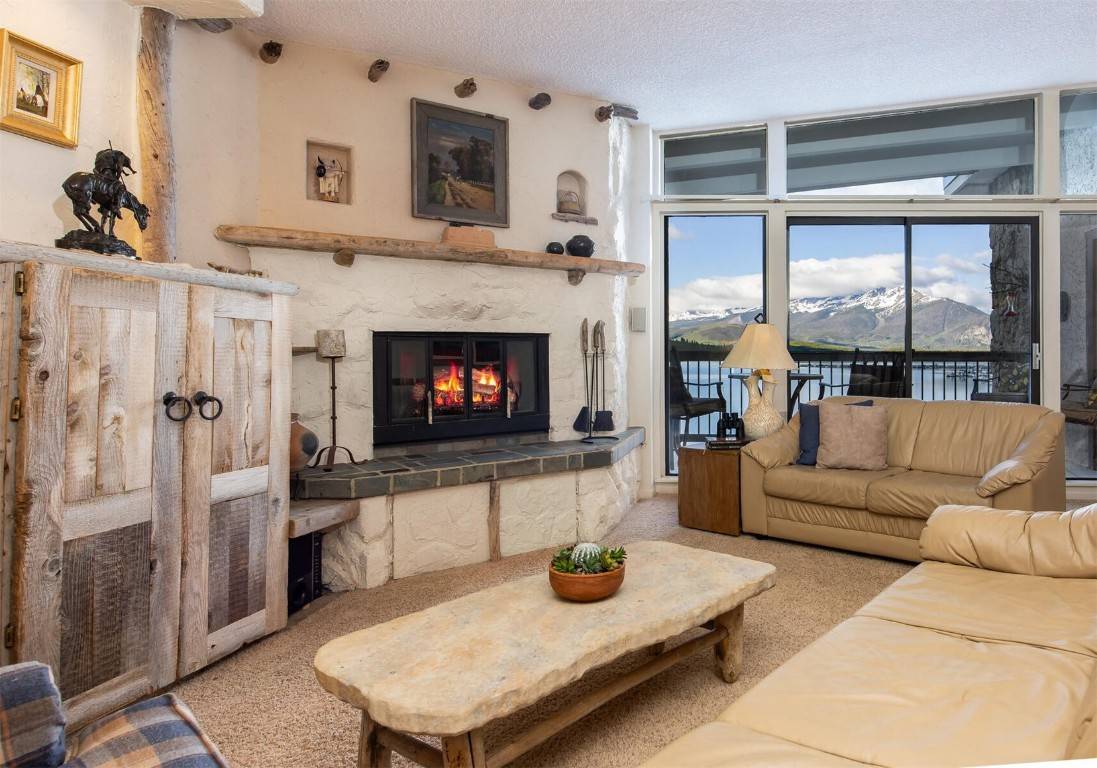 Dillon, CO 80435,576 Tenderfoot ST #163