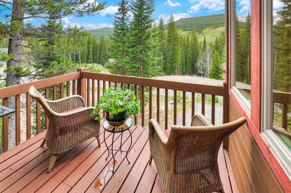 Breckenridge, CO 80424,322 Davis CT
