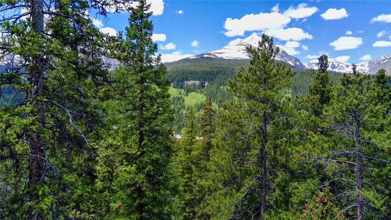 Breckenridge, CO 80424,1013 Range RD