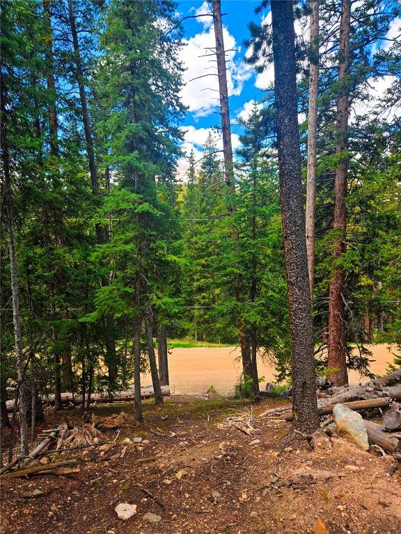 Breckenridge, CO 80424,1013 Range RD