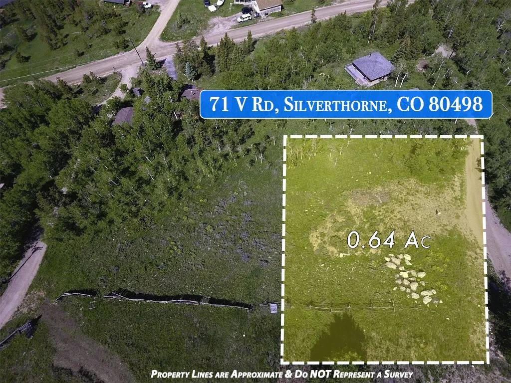 Silverthorne, CO 80498,71 V RD