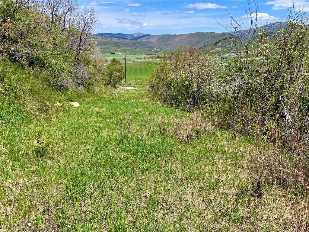 Steamboat  Springs, CO 80487,42522 Deerfoot LN