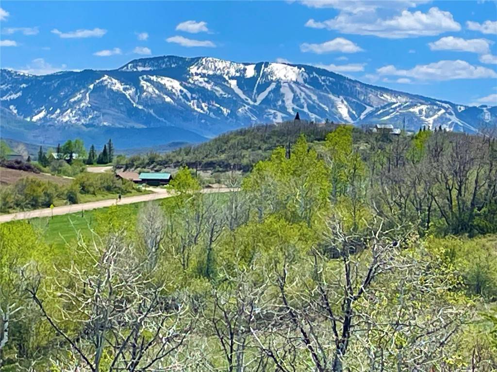 Steamboat  Springs, CO 80487,42522 Deerfoot LN