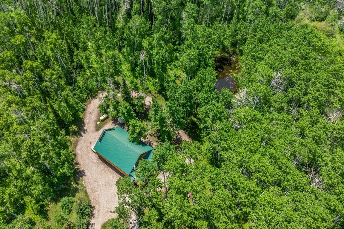 Craig, CO 81625,389 Routt Forest LOOP