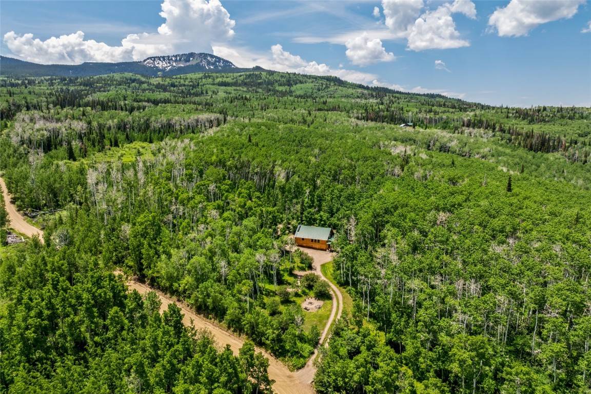Craig, CO 81625,389 Routt Forest LOOP