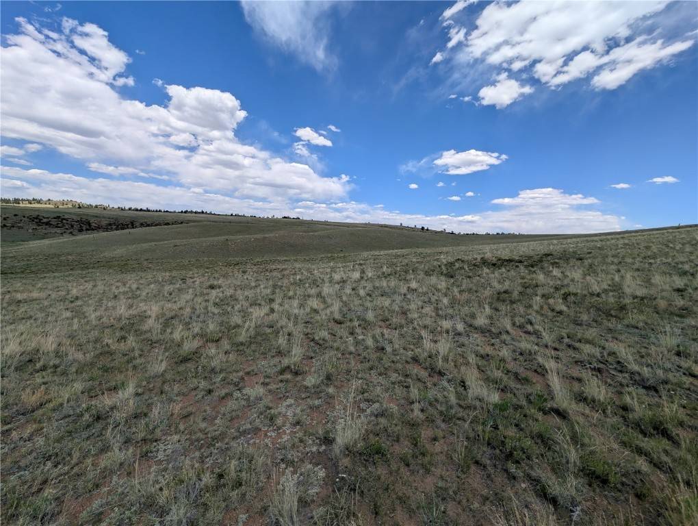 Hartsel, CO 80449,3812 Anadarko RD