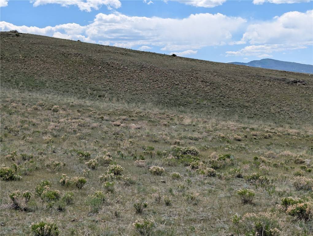 Hartsel, CO 80449,0 Anadarko RD