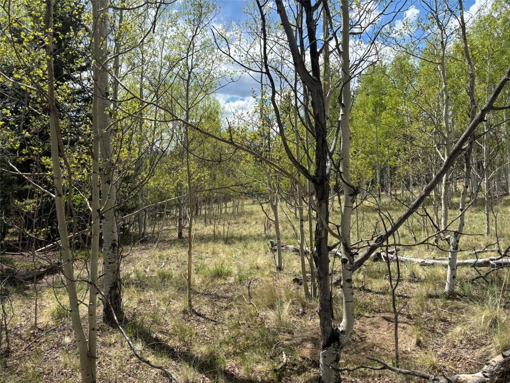 Como, CO 80432,75 Ithaca LN