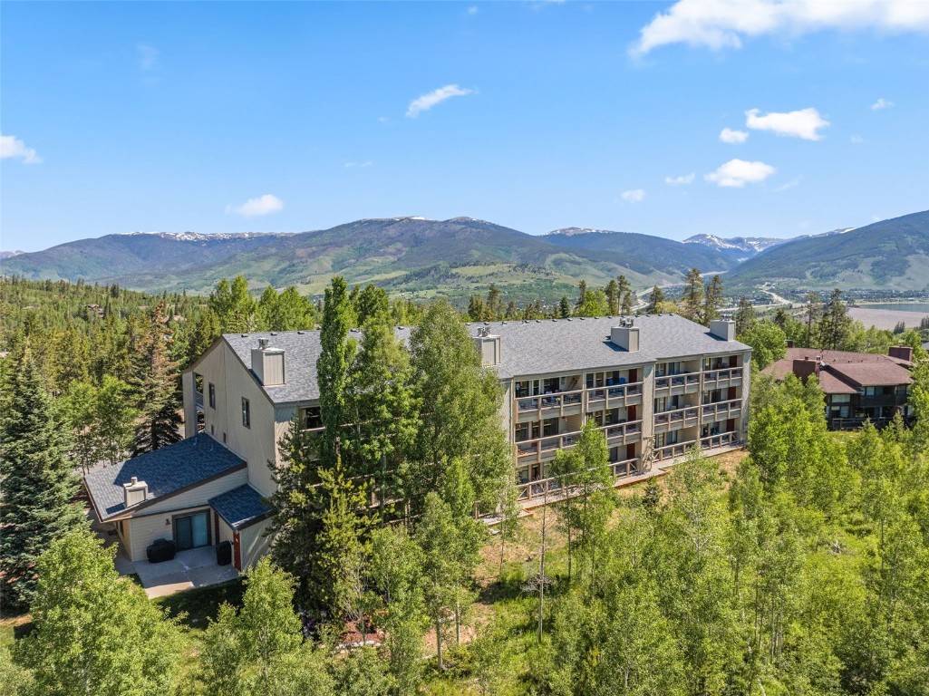 Silverthorne, CO 80498,4624 Ryan Gulch RD #4624