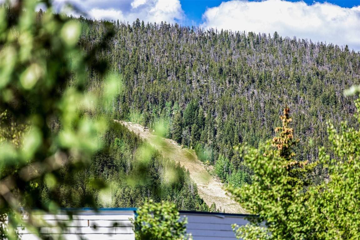 Keystone, CO 80435,135 Dercum DR #8565