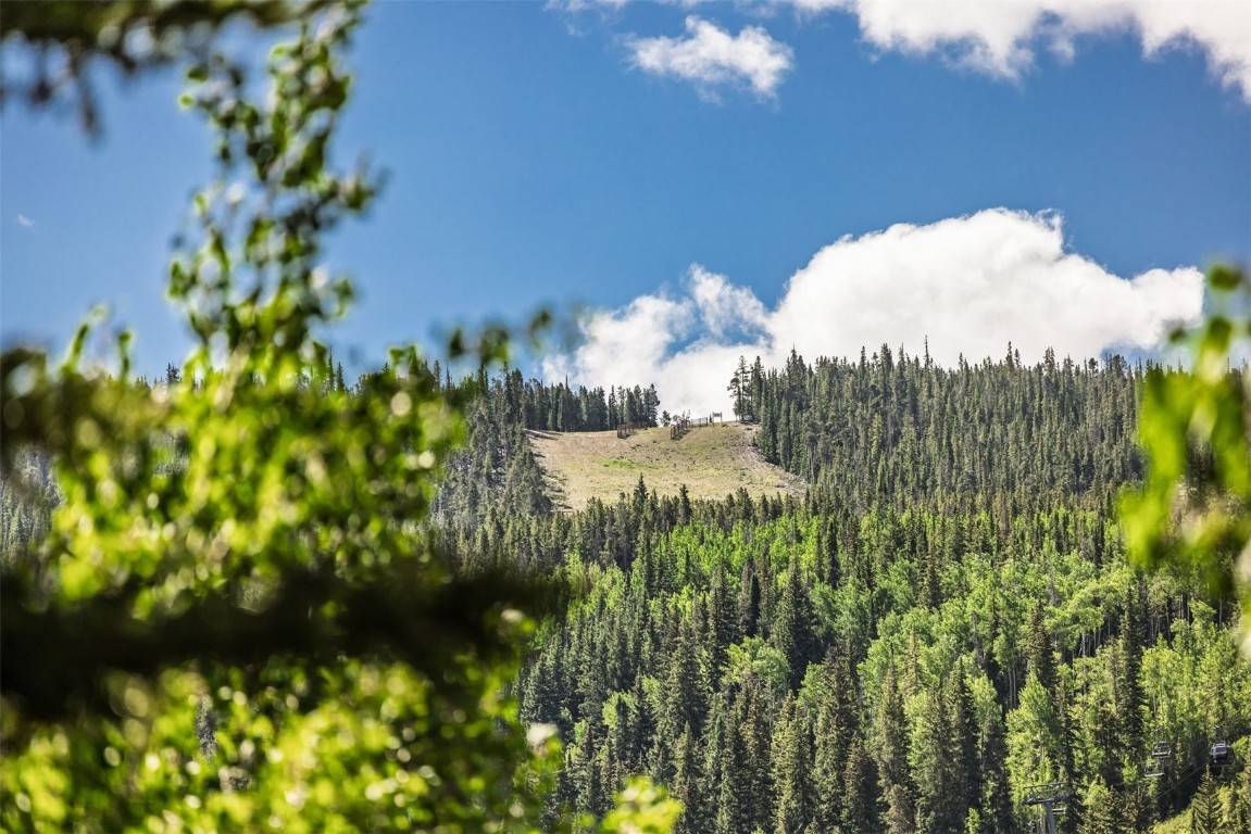 Keystone, CO 80435,135 Dercum DR #8565