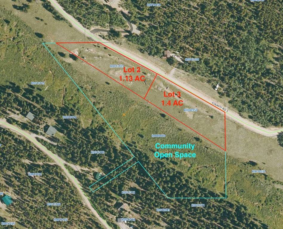 Fairplay, CO 80440,1520 Pennsylvania Creek RD