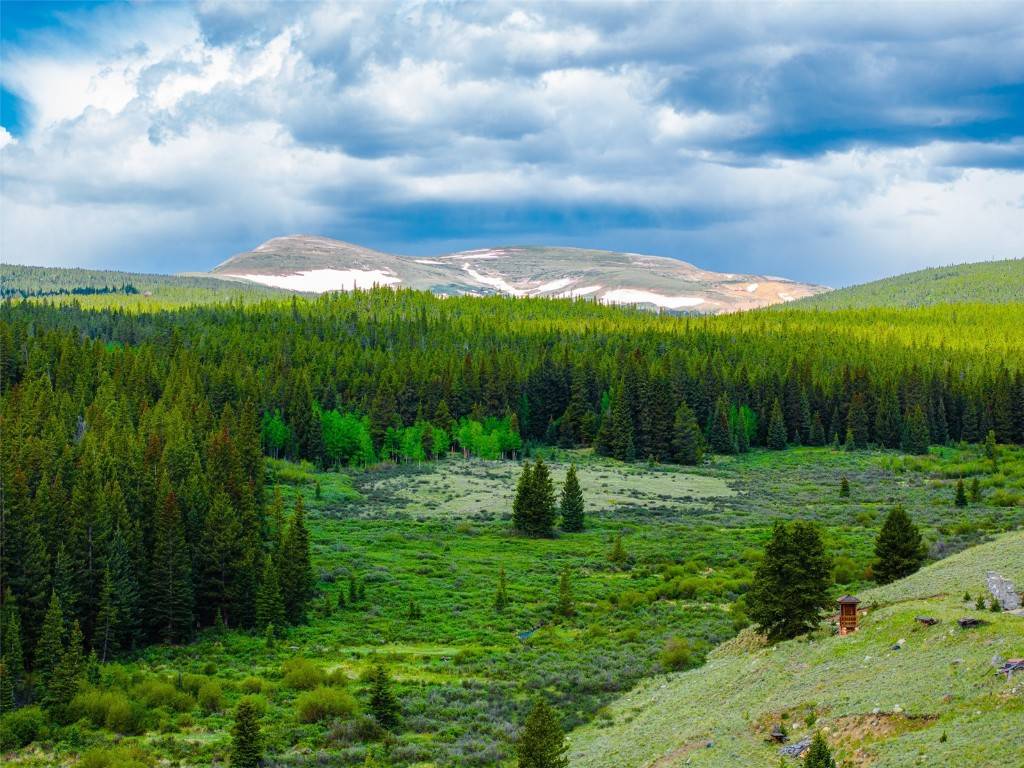 Fairplay, CO 80440,1520 Pennsylvania Creek RD